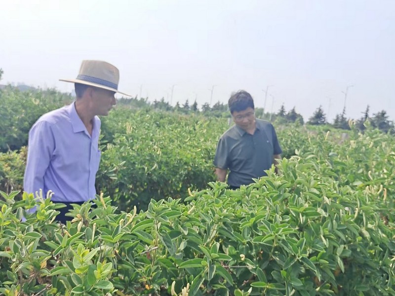 微信图片_20240528093433.jpg 微信图片_20240528093433.jpg