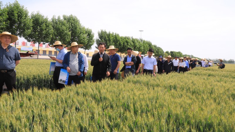 微信图片_20240518145349.jpg 微信图片_20240518145349.jpg