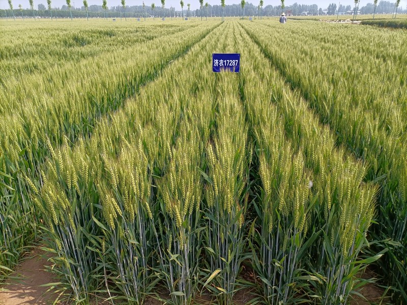 微信图片_20250709153745.jpg 微信图片_20250709153745.jpg