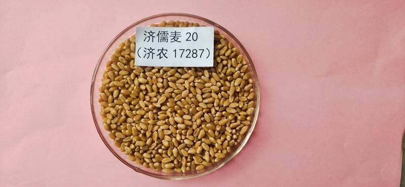 微信图片_20250709153940.jpg 微信图片_20250709153940.jpg