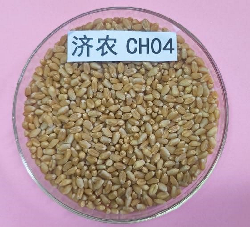 图片1.png 图片1.png