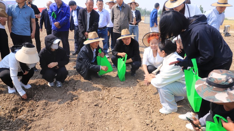 IMG_0320.JPG IMG_0320.JPG