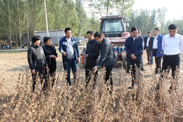 IMG_0077.JPG IMG_0077.JPG