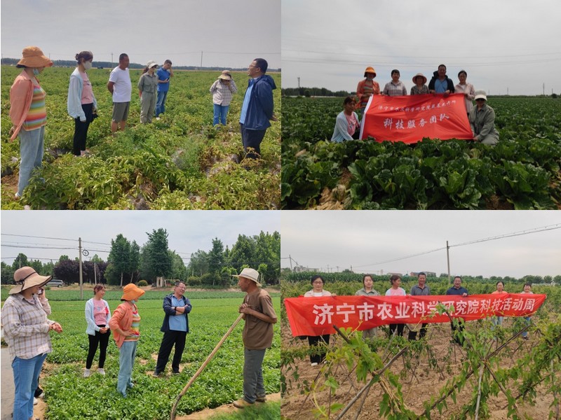 合集.jpg 合集.jpg