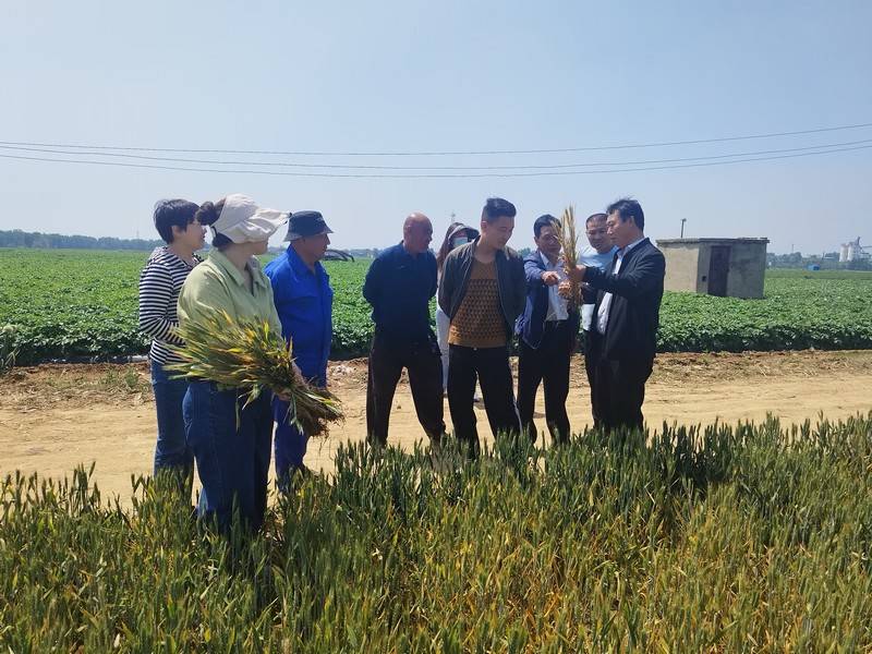 微信图片_20240507091416.jpg 微信图片_20240507091416.jpg