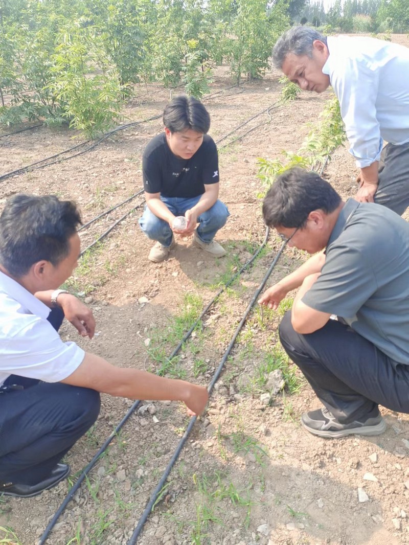 微信图片_20240528093428.jpg 微信图片_20240528093428.jpg