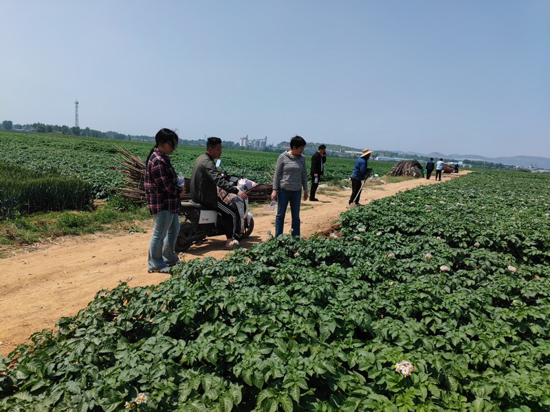 微信图片_20240507091419.jpg 微信图片_20240507091419.jpg